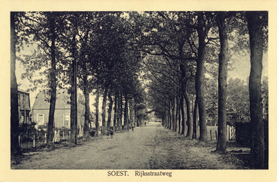 14424 Gezicht op de Rijksstraatweg met rijen bomen en bebouwing te Soest.